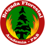 logotipo do curso de brigada de incêndio florestal, ao fundo uma arvore, em volta de chamas